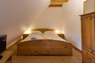 Albergo Cultura ed escursioni Neuenkirchen