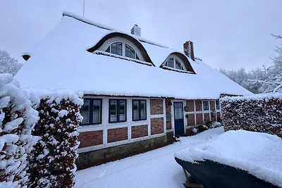 Ferien unterm Reetdach