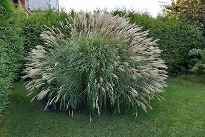 Ferienwohnung im Erdgeschoss