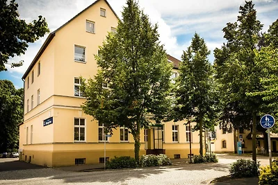 Albergo Cultura ed escursioni Senftenberg