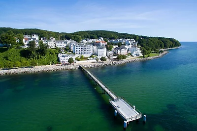 Silbermöwe