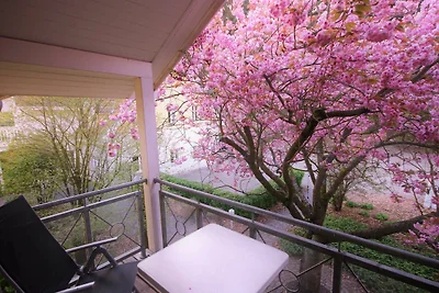 KIWI Ferienwohnung 5