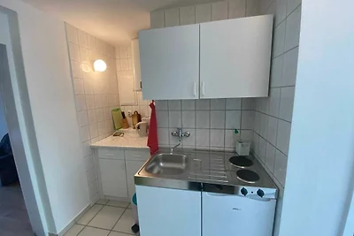 Grauer Esel E1