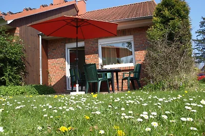Albergo Cultura ed escursioni Ostseebad Boltenhagen