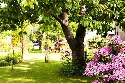 Appartamento Vacanza con famiglia Waren (Müritz)
