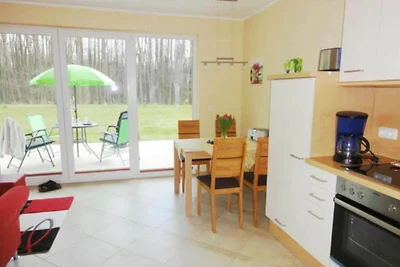 Albergo Cultura ed escursioni Graal-Müritz