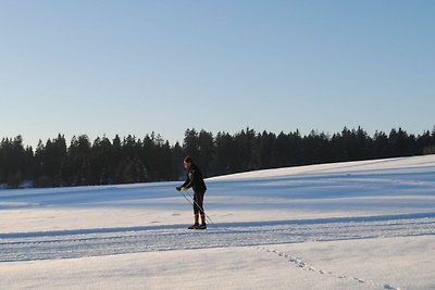 Vakantieappartement Gezinsvakantie Clausthal-Zellerfeld