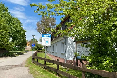 Grauer Esel E4