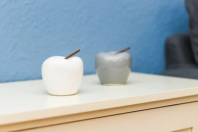 Ferienwohnung Gänseblümchen