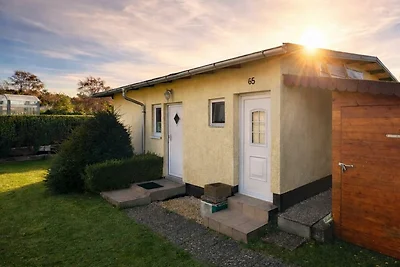 *Casa Petra / Prause GM 69654 SNR: 6