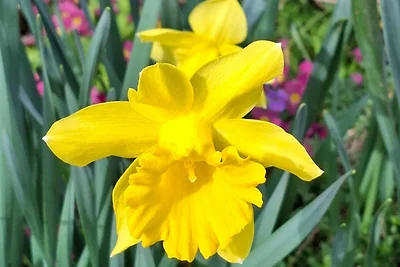 apartman za odmor Obiteljski odmor Obersulm