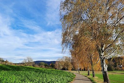 Ferienwohnung Odenwaldflair