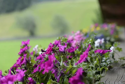 Apartament Dla rodzin Tannheim