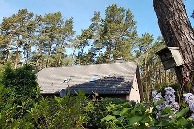 Ferienhaus am Dünenwald DH-45162