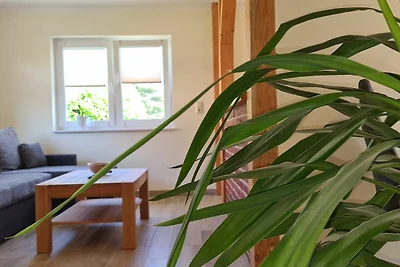 1-Raum-Gartenhaus (48m², 2+1 Personen)