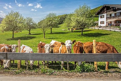 Ferienwohnung Auszeit