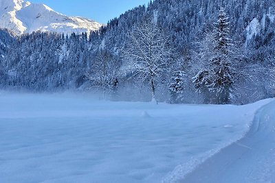 Vakantieappartement Gezinsvakantie Schoppernau