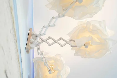 Heck, 2 Zi. Fewo, 36 m²