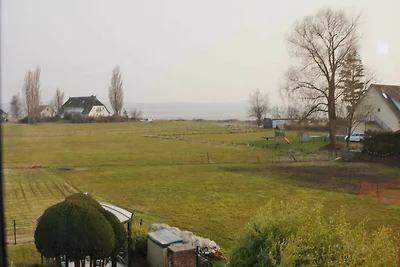 FEWO Bodden 47003