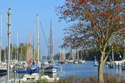 Vakantiehuis Ontspannende vakantie Hooksiel