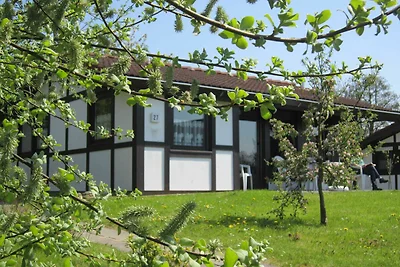 Hotel Cultuur en bezienswaardigheden Hollern-Twielenfleth
