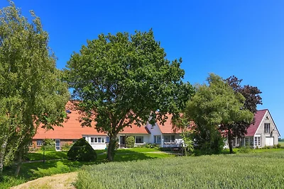 Ferienwohnung Schwalbennest