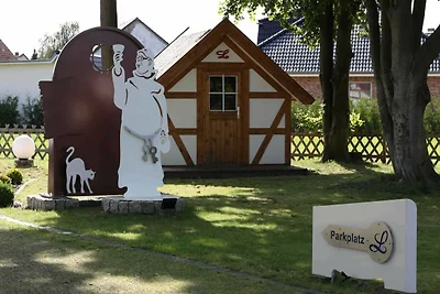 Haffmuschel (5)
