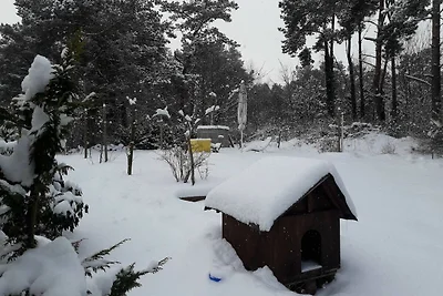Vakantieappartement Gezinsvakantie Loddin
