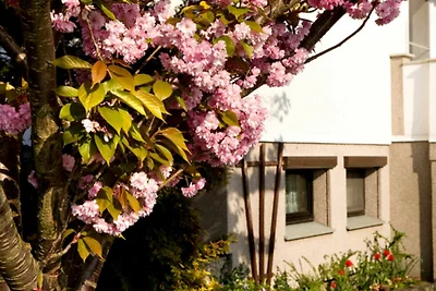 Souterrain-Ferienwohnung