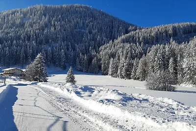 Appartamento Vacanza con famiglia Nauders