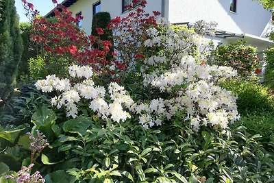 Annettes Ferienwohnung