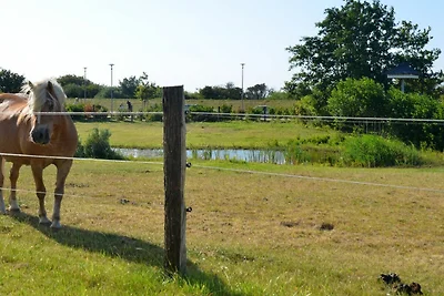 Vakantieappartement Gezinsvakantie Börgerende