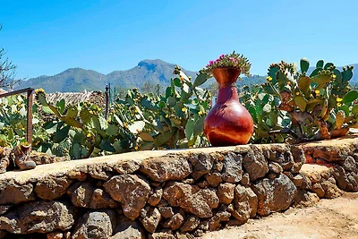 Vakantiehuis Ontspannende vakantie El Paso