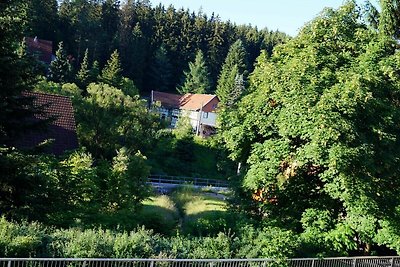 Vakantieappartement Gezinsvakantie Tanne