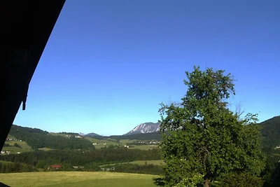 Appartement Vacances avec la famille Eisenberg