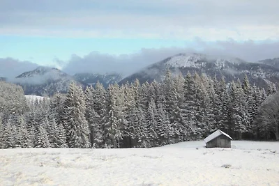 Appartamento Vacanza con famiglia Jungholz