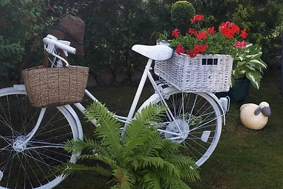 Ferienwohnung mit Seeblick