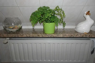 Vakantieappartement Gezinsvakantie Rauenstein