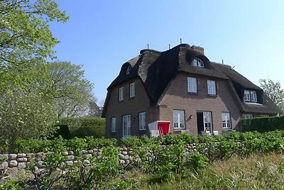 Vakantiehuis Ontspannende vakantie Alkersum