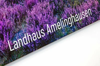Hotel Cultuur en bezienswaardigheden Amelinghausen