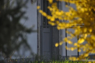 Ferienwohnung Alpenseepark