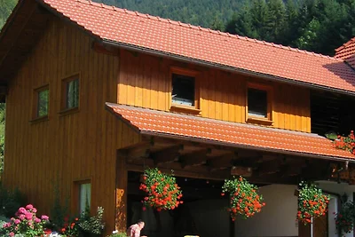 Vakantieappartement Gezinsvakantie Elzach
