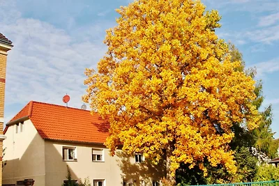 Vakantieappartement Gezinsvakantie Hoyerswerda