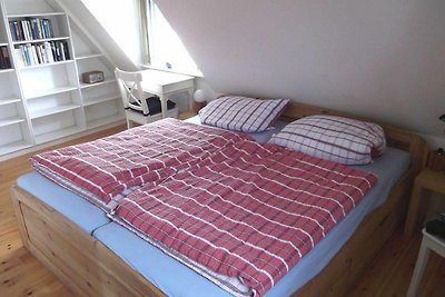 Haus 213
