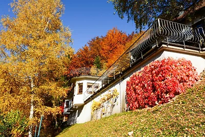 Appartamento Vacanza con famiglia Bad Peterstal-Griesbach
