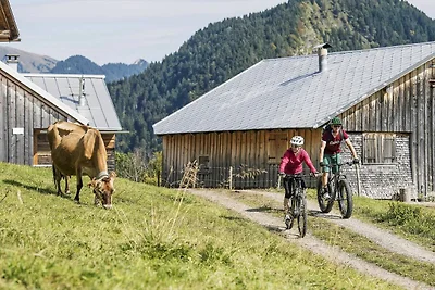 Vakantieappartement Gezinsvakantie Mellau