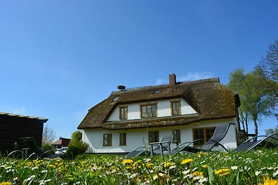 Vakantiehuis Ontspannende vakantie Middelhagen