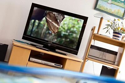 Kietzspeicher App. 13