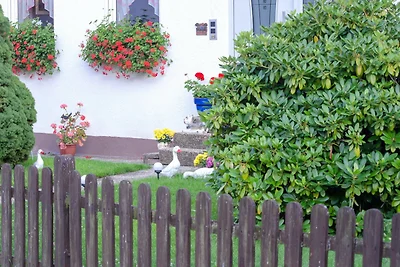 Appartamento Vacanza con famiglia Mistelgau