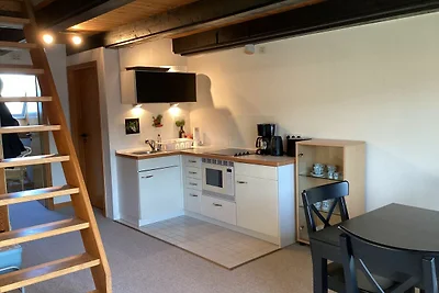 Vakantieappartement Gezinsvakantie Friedrichskoog